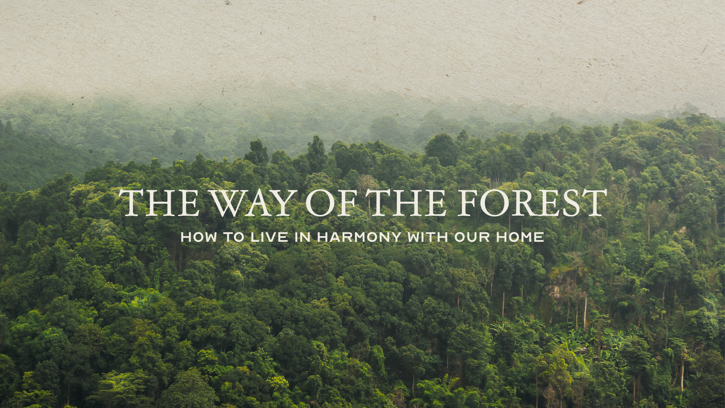 The Way Of The Forest: How To Live In Harmony With Our Home